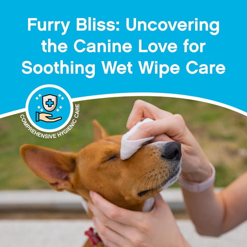 NonScents 75 Deodorizing & Cleaning Dog Grooming Wipes - Fragrance-Free Pet Wipes for Dogs, Unscented for Quick Baths