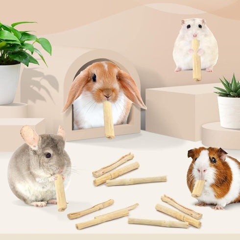 145g/0.3Ib Chinchilla Bissap Sweet Bamboo Chew Sticks for Rabbits, Bunny Chew Sticks for Rabbits Hamster Guinea Pigs