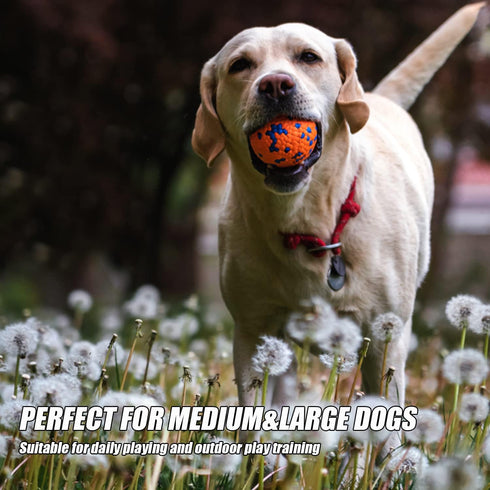Dog Balls for Aggressive Chewers, Indestructible Floating Bouncy Balls, Lightweight Chew Balls, Fetch Balls for Large &