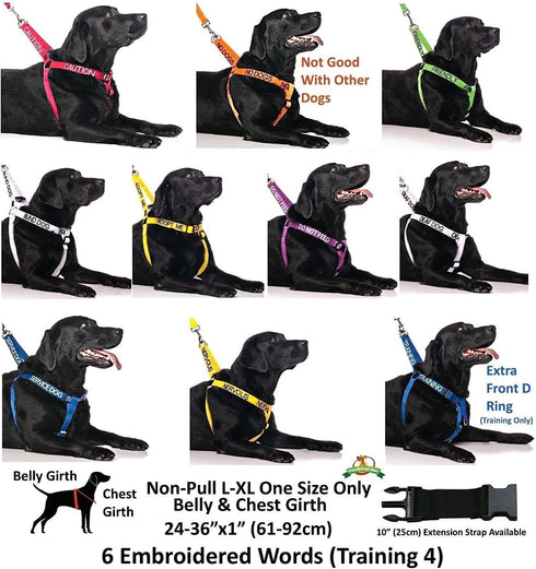 Friendly Green Colour Coded Non Pull Dog Harness - L-XL, Prevents Accidents by Warning Others