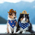 Vehomy 4th of July Pet Dog Costume - Cowboy Hats with Star Décor and American Flag Bandanas for Dogs Cats (4Pcs)