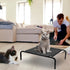 Pet Bed Mesh Dog Sleeping Bed, Comfortable Indoor Hammock Dog Beds, Breathable Elevated Pet Bed for Dogs and Puppies