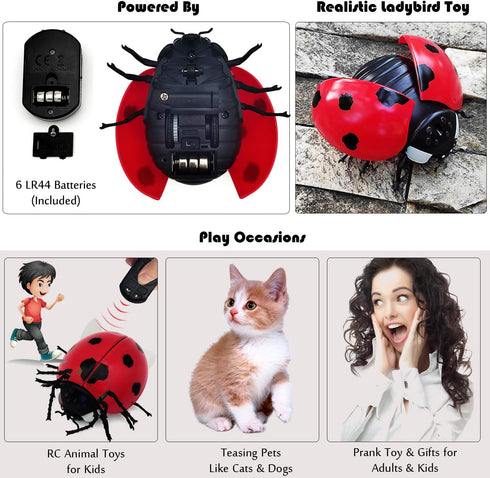 Remote Control Realistic Ladybug Toy - Fun Pet Teasing Prank