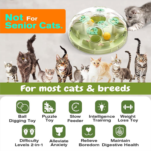 2 KADTC Cat Puzzle Toy, Large Size, Ways to Play, Treat Puzzle & Foraging Balls for Indoor Cats, Kitten Enrichment Toy