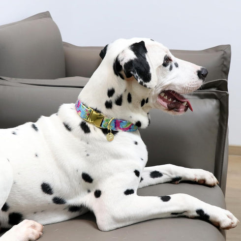Tie Dye Summer Cotton Dog Collar with Metal Buckle, Gift Collar for Small Medium Large Dogs, Cute Durable Comfortable