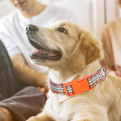 Orange Dog Collar for Large Dogs, Cute Tribal Ethnic Aztec Patterns, Adjustable Soft Collar for XS to XL Dogs