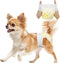 Pet Soft Disposable Dog Diapers Female, Pull Up Doggie Diapers for Female