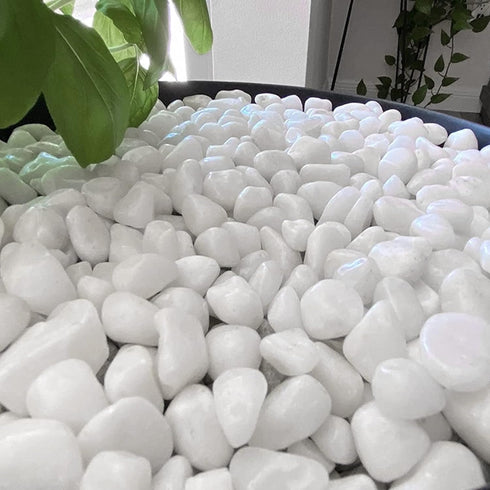 White River Rocks for Plants, 5.5 LB Small Decorative Pebbles, Smooth Aquarium Gravel for Indoor and Outdoor