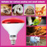 250 Bulb 1 Pack, Bulb LUCKY HERP Infrared Heat Lamp for Chickens - Watts Red Heat Lamp Heat Light for Brooder Coop