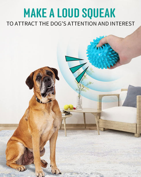 2 Pack 4.5” Heavy Duty Squeaky Dog Ball for Medium Large Dogs, Spikey Toys for Clean Teeth and Training