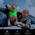 Flashseen LED Dog Collar, USB Rechargeable Glowing Lighted Collar, Cuttable Water-Resistant TPU Safety Collar