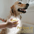 Dog Bathing Brush, Pet Massage Brush Shampoo Dispenser, Soft Silicone Brush Rubber Bristle for Dogs and Cats Shower Grooming (Yellow)