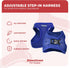 Downtown Pet Supply Step in Dog Harness for Small Dogs, No Pull, Blue, Adjustable with Padded Mesh Fabric and