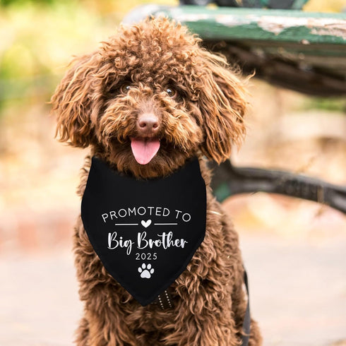 Yishuliwu 2025 Promoted to Big Brother Black Pet Dog Bandanas Triangle Scarf Bandanas Bibs Birthday Party Props Gender