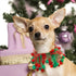 cyeollo 2 Pack Dog Collar - Elastic Adjustable Valentines Holiday Collars with Pom Pom Ornaments for Medium Dogs