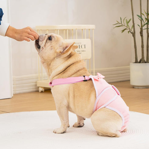 3 Pack Avont Frenchie Dog Diapers Female, Washable Reusable Girl Doggie Pants for Period Heat Cycle, Full Body Cover