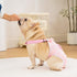 3 Pack Avont Frenchie Dog Diapers Female, Washable Reusable Girl Doggie Pants for Period Heat Cycle, Full Body Cover