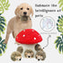 5 Pack Hide and Seek Dog Toys, Mushroom Crinkle Paper Hideaway with Squeaky Hedgehogs Interactive Plush Puzzle Puppy