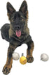Midlee Snowball Fight Plush Dog Toy - 3"