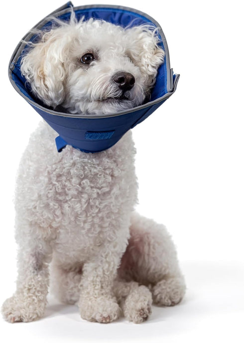 Calm Paws Dog Caring Collar with Calming XS (X-Small)