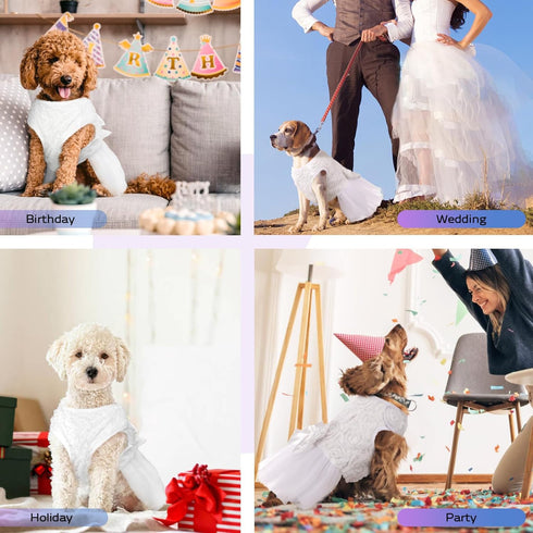 QBLEEV Dog Dress Tutu Skirt for Large Dogs, Sweet White Princess Dresses with Bowknot and Rose Decor, L