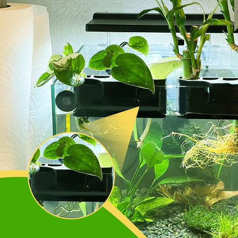 Rimmed 5 0.5 inch Aquarium Plant Holder for Tank, Aquarium Hanging Plant Holder, Plastic Aquatic Plant Pot with Hole