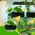 Rimmed 5 0.5 inch Aquarium Plant Holder for Tank, Aquarium Hanging Plant Holder, Plastic Aquatic Plant Pot with Hole