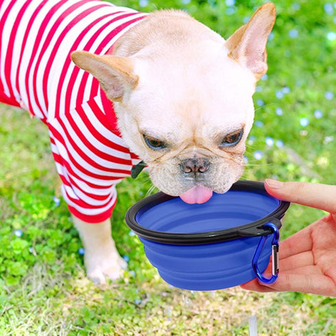 Dog Bowl Pet Collapsible Bowls, 2 Pack Portable Water Bowls for Cats Dogs with 2 Carabiners (Small, Blue + Red)