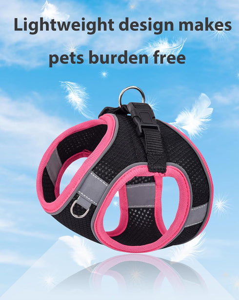 Dog Harness and Leash Set for Small Medium Sized Dogs, Puppy Training Vest Harness, Black, XS
