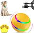 New Interactive Dog Toy Ball with Remote Control, Self Rolling USB Rechargeable Ball