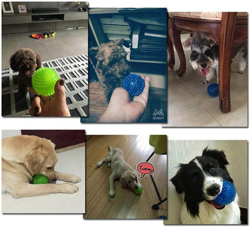 Orgrimmar 6 PCS Pet Squeaky Chewing Balls, Soft Stab Balls for Small Medium Large Dogs (Small, 2.55in)