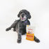 Pupford Cheese Crunchies, Premium Single-Ingredient Cheddar Treat for Dogs & Puppies (7.50 oz)