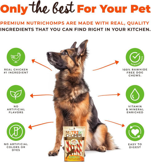 NutriChomps 5 inch Twists, Rawhide-Free Dog Treats, Healthy, 10 Count, Real Chicken Flavor