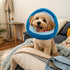EXPAWLORER Cat Cone Collar Soft, Adjustable Cute Cat Recovery Collars After Surgery, Comfortable Neck Elizabethan Pet