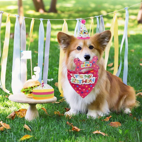 BINGPET Dog Birthday Bandana Set with Cake and Balloon, Party Supplies for Large Dogs, Pink
