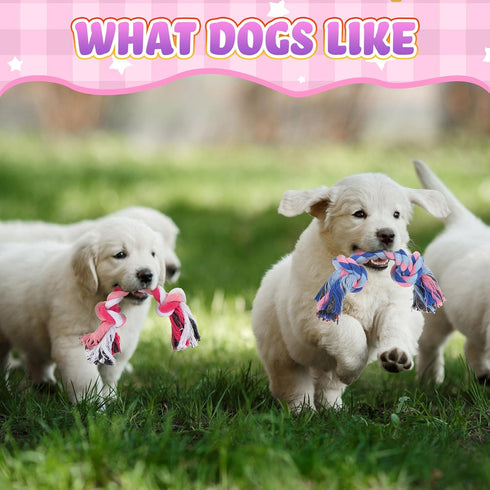 12 Pcs Multi Color Rope Dog Toys | Cotton Puppy Chew Rope Teething Toys for Small and Medium Dogs