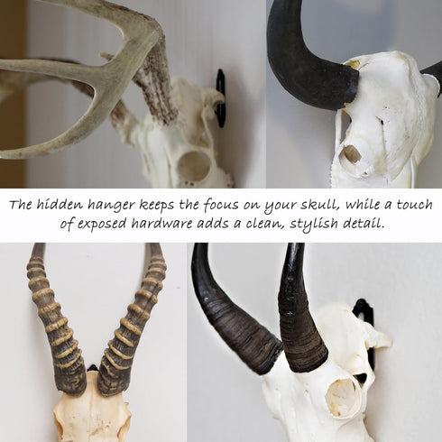 VMSIXVM European Deer Skull Mount Hanger, Euro Wall Mount Hanger for Deer Head, Pronghorn and Other Smaller Animals