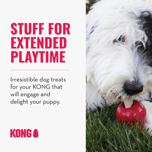 Pack KONG Classic Toy & Ziggies Treats Combo - Durable Chew Toy for Dogs - with Ziggies Chicken-Flavored Treats - Dog