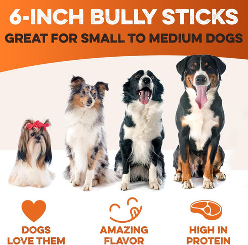 BRUTUS & BARNABY 6" Bully Sticks for Dogs, Low-to-No Odor, Grass-Fed Chews