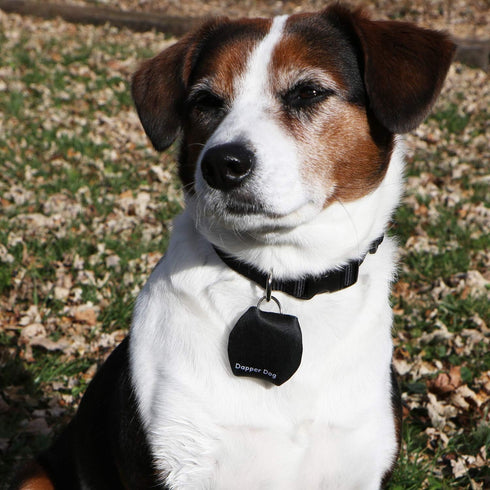 Dapper Dog Dog Tag Silencer, Tag Ring (Black)