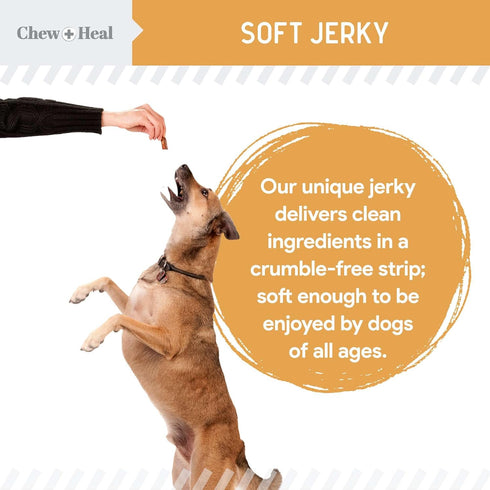 Chew + Heal Labs Omega Salmon Jerky Dog Treats, 12 oz, Soft Salmon Jerky for Skin and Coat