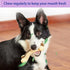 Dog Chew Toys 3 Pack, Indestructible Real Beef Flavor for Aggressive Chewers, Durable Nylon for All Breeds