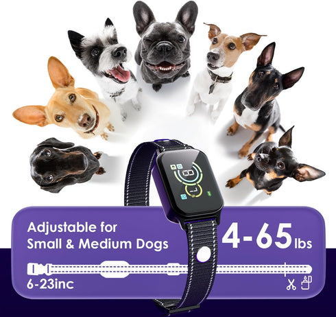 Dog Bark Collar, No Shock Rechargeable Smart Anti-Bark Collar for Small Medium Mini Dogs, Beep Vibration (Black)