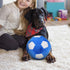 Dog Toys Balls - Pet Chew Toy Stuffed with Fluffy, Cute Interactive Squeak Toy for Medium and Large Dogs
