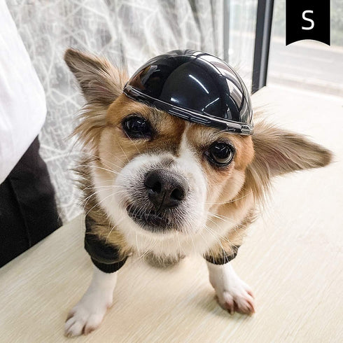 Namsan Small Dog Helmet - Adjustable Dog Motorcycle Helmet, DIY Cat Hat, Dog Crash Helmet for Puppy Head Protection,