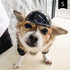 Namsan Small Dog Helmet - Adjustable Dog Motorcycle Helmet, DIY Cat Hat, Dog Crash Helmet for Puppy Head Protection,