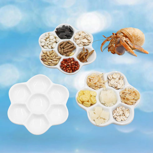 Neeenn 3 Pack Hermit Crab Food Bowl & Water Dish, Ceramic Hermit Crab