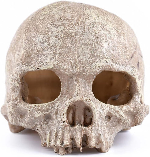 Carefree Fish Aquarium Decoration, Skull Fish Tank Head Skeleton Decorative Cave Landscape for Pet Reptile House