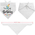 YROVWENQ Funny Cute 2 Years Dog Birthday Bandana Scarfs, Dog Birthday Party Crown Hat for Pet Decoration