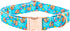 Lionheart glory Easter Dog Collar, Colorful Adjustable Heavy-Duty Puppy Collar with Easter Egg Print for X-Small Dogs